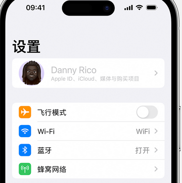 红毛镇appleID维修服务iPhone设置中Apple ID显示为灰色无法使用 