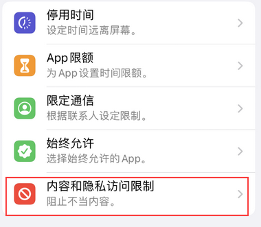 红毛镇appleID维修服务iPhone设置中Apple ID显示为灰色无法使用