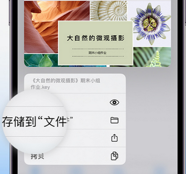 红毛镇apple维修中心分享iPhone文件应用中存储和找到下载文件