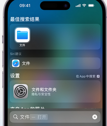 红毛镇apple维修中心分享iPhone文件应用中存储和找到下载文件