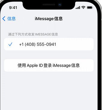 红毛镇apple维修iPhone上无法正常发送iMessage信息 