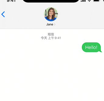 红毛镇apple维修iPhone上无法正常发送iMessage信息