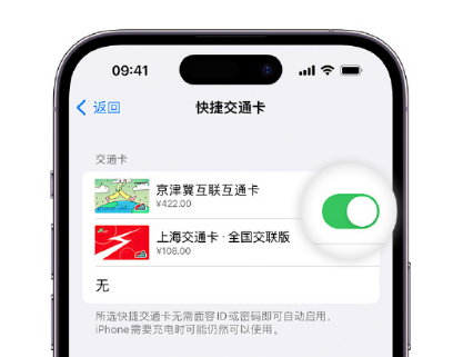 红毛镇apple维修点分享iPhone上更换Apple Pay快捷交通卡手绘卡面 