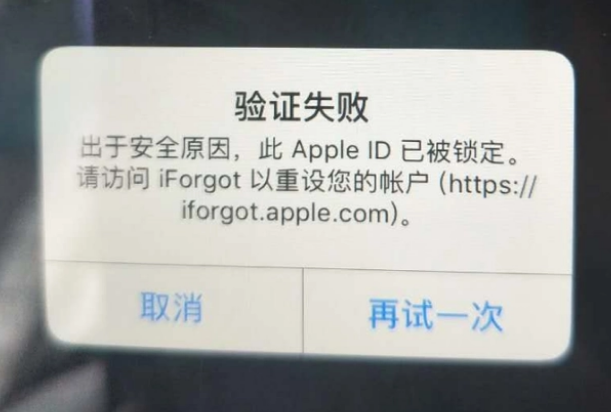 红毛镇iPhone维修分享iPhone上正常登录或使用AppleID怎么办 