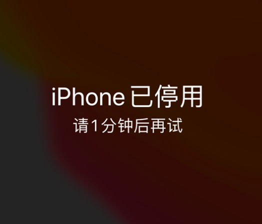 红毛镇苹果手机维修分享:iPhone 显示“不可用”或“已停用”怎么办？还能保留数据吗？ 