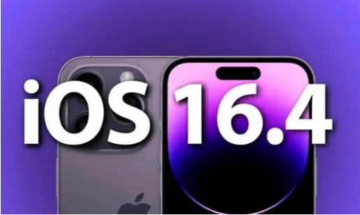 红毛镇苹果14维修分享：iPhone14可以升级iOS16.4beta2吗？ 