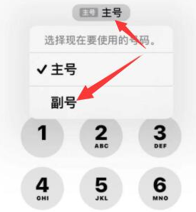 红毛镇苹果14维修店分享iPhone 14 Pro Max使用副卡打电话的方法 