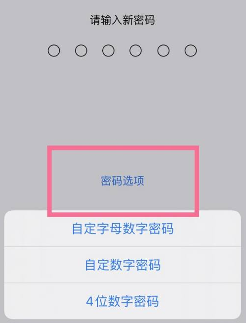 红毛镇苹果14维修分享iPhone 14plus设置密码的方法 