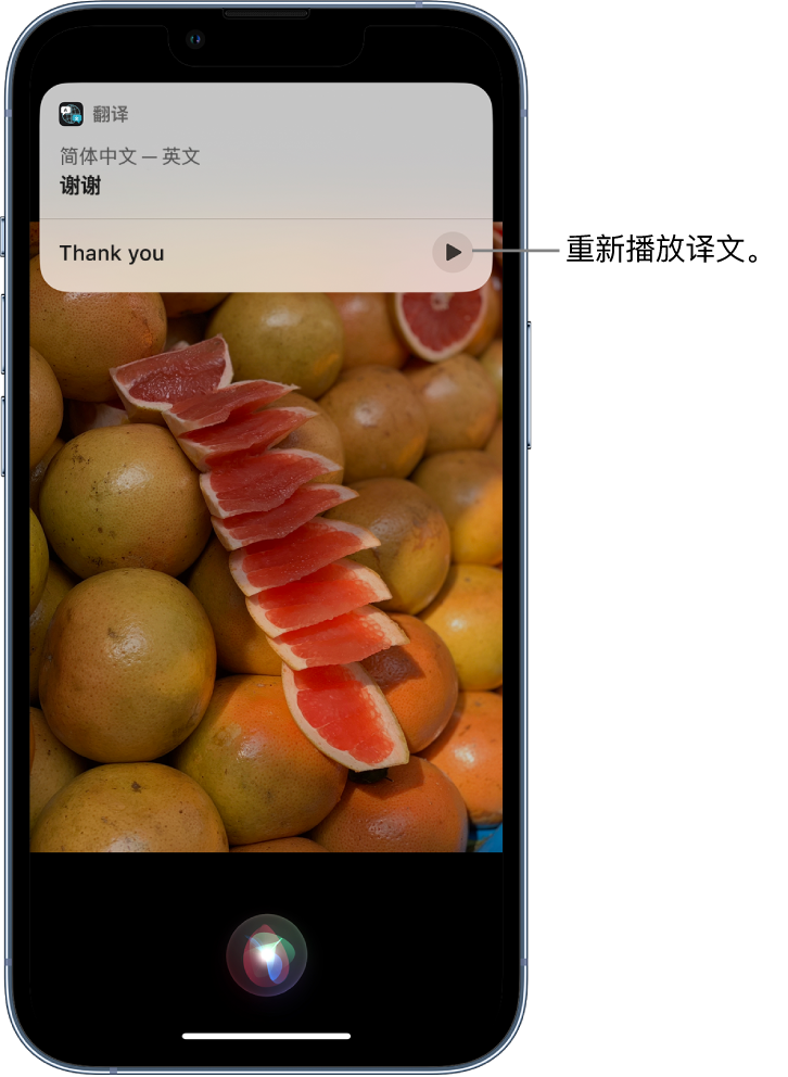 红毛镇苹果14维修分享 iPhone 14 机型中使用 Siri：了解 Siri 能帮你做什么 
