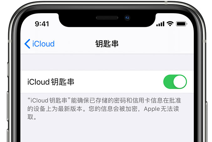 红毛镇苹果手机维修分享在 iPhone 上开启 iCloud 钥匙串之后会储存哪些信息 